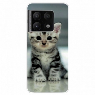 Capa De Celular Para OnePlus 10 Pro 5G Gatinho Gatinho