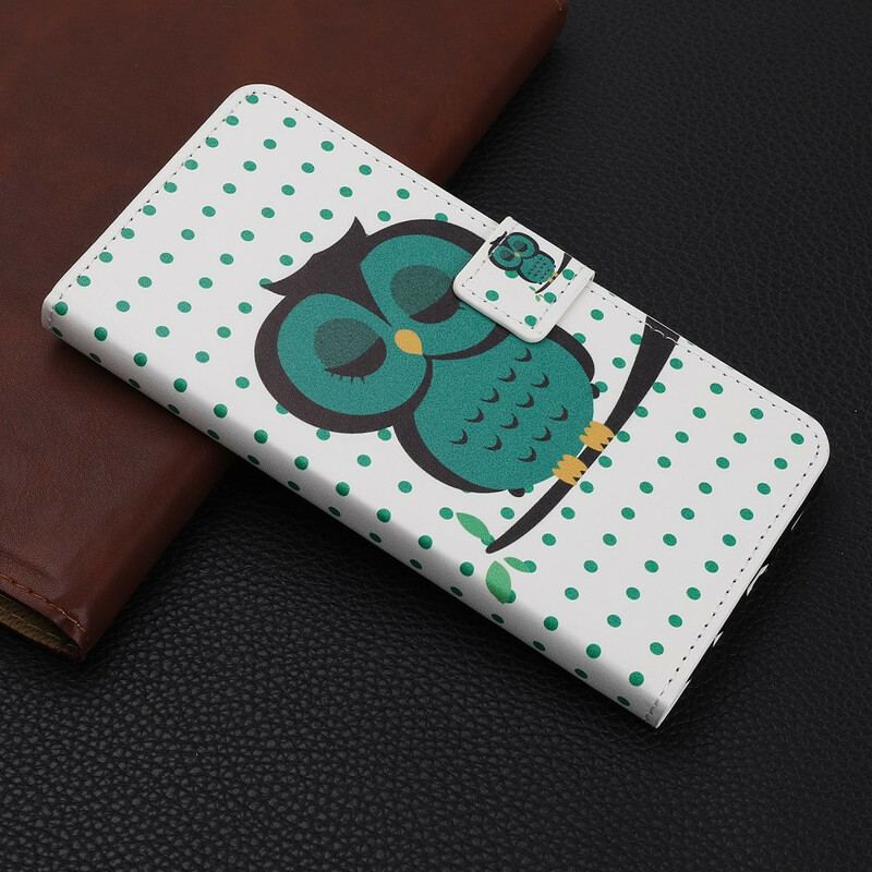 Capa Flip Para iPhone 12 / 12 Pro Coruja Adormecida