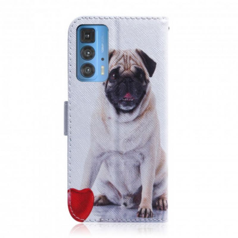 Capa Flip Para Motorola Edge 20 Pro Cachorro Pug